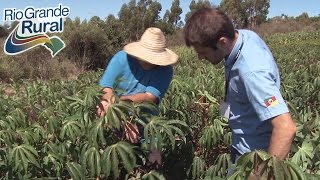 Agricultor comercializa hortaliças para o Programa de Alimentação Escolar  Rio Grande Rural [upl. by Kiley121]