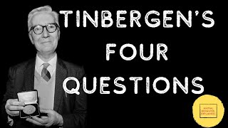 Tinbergens Four Questions [upl. by Elleraj766]