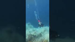 Moment Rare 72 Magnitude Earthquake Strikes Underwater  10 News First [upl. by Hahn506]