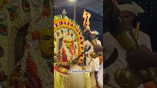 Panjurli Daiva❤️🙏🏻Watch Full Video👆🏻tulunadu daivaradhane kantara panjurli viral shorts [upl. by Jenne293]