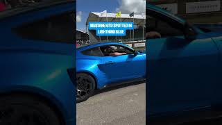 Mustang GTD Spotted in Lighting Blue ahorts mustanggtd carcommunity [upl. by Eidualc]