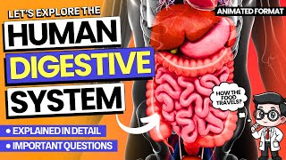 Human Digestive System Explained  Imp Topics amp Ques  3D Animation  Class 10th amp 11th [upl. by Ikcir604]