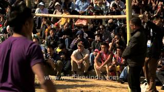 Five and a half foot bamboo bar meatkicking competition in Nagaland [upl. by Notled]