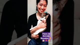 Happy 1st Birthday Benzaiten Baby Boop 😸🐈🎂🎈🥳 birthday cat [upl. by Odell]