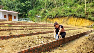 Use bricks sand and cement to divide the vegetable garden into many small plots  Ban Thi Diet [upl. by Dannye]