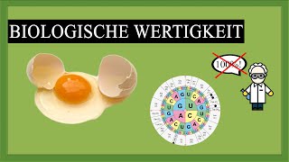 Biologische Wertigkeit  Warum die Proteinmenge nicht ausschlaggebend ist [upl. by Elimaj]