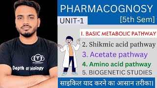 basic metabolic pathway  Shikmic acid pathway  acetate and amino acid pathway  biogenetic studies [upl. by Idnew]