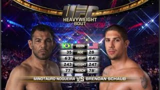 Minotauro Nogueira vs Brendan Schaub [upl. by Waldemar]