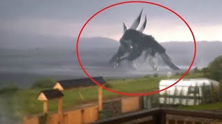 10 Giant Creatures Caught on Camera [upl. by Atiken]