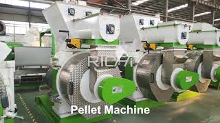 How to Produce Biomass Pellets with Biomass Pellet Machine  Richi Machinery [upl. by Bobbi]