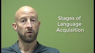 Stages of Language Acquisition [upl. by Kimitri110]