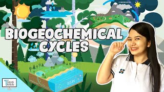 Biogeochemical Cycles  Biology [upl. by Guss701]