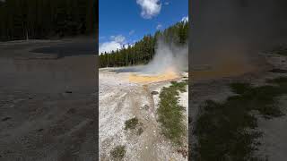 One of the many beautiful Geysers at Yellowstone National Park Wyoming yellowstonenationalpark [upl. by Brown]