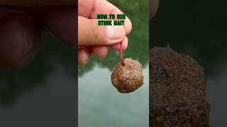 HOW TO Use STINK Bait For CATFISH 🎣 shorts fishing catfish [upl. by Franny]