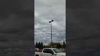 Cotton Candy Sky Asperitas Clouds Kanata Ottawa ahmadincanada canada lifeincanada shorts [upl. by Onej56]