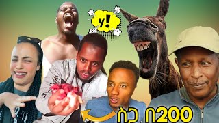 🛑 ስጋ በ200 ብር ሲበላ 😂 የሳምንቱ አስቂኝ ቀልዶች  የኢትዮጵያ ቲክቶክ  Ethiopian TikTok Videos Reaction [upl. by Kimmi712]