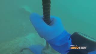 Autostem Underwater Blasting [upl. by Atikram]