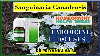 Sanguinaria Canadensis Homeopathic Medicine 1 medicine 100 uses headache drpriyankashomeopathy [upl. by Merl950]