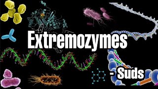 Extremozymes  The extreme enzymes [upl. by Manup]