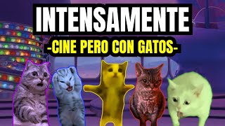 INTENSAMENTE  cine pero con gatos meme de gatos [upl. by Waldron]