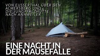 Eine Nacht in der Mausefalle  Eußerthal Almersberg JungPfalzHütte Annweiler  Trekking Pfalz [upl. by Emerald]