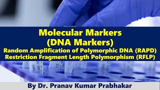 Molecular Markers DNA Markers RAPD and RFLP [upl. by Nylorahs]