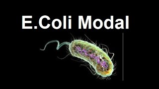 Escherichia coli E coli as modal organism  2024 [upl. by Gibbon]