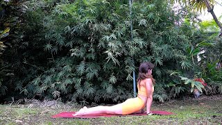 Ashtanga For Beginners 40 Minute Modified Primary Standing amp Seated Poses [upl. by Morentz]