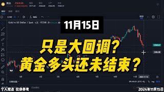 黄金只是大回调？多头趋势没结束？！股票 美股 A股 交易 财经 金融 黄金投资 [upl. by Iramat]