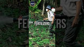 Fertilisers import Business facts hiiem businessideas [upl. by Kus158]