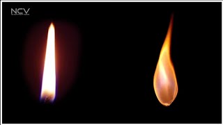 Candle light black screen  candle light video  fire background video  candle enimated effect NCV [upl. by Yllatan]