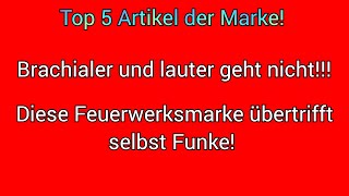 Top 5 NeuheitenBrachiale Batterien  diese Marke wird den Feuerwerksmarkt auf den Kopf stellen [upl. by Mateya678]