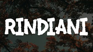 Slam  Rindiani Lirik  Mix Playlist [upl. by Nuawaj595]