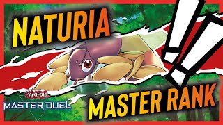 Master Rank Naturia Deck 2024  Countering the Meta Replays  Master duels [upl. by Hawger870]