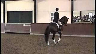 3 Leader Of World Ranking Dressage  GP KWPN stallion Jazz sCocktail [upl. by Eiramnwad]