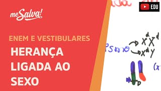 Me Salva GEN21  Genética  Herança ligada ao sexo [upl. by Aldas688]