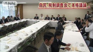 自民税調で投資減税など本格議論 quot課税強化quotも？（130821） [upl. by Portie]