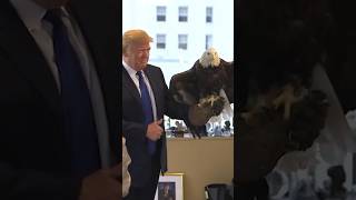 LOST FOOTAGE Trump TAMES Bald Eagle in his OFFICE [upl. by Berl]