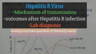 Hepatitis B Virus  Hepatitis B Virus Lab diagnosis with Notes  Outcomes After Hep B InfectionMBBS [upl. by Marji]