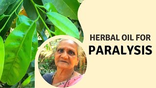 Home remedies For Paralysis  Herbal oil using Karingotta plant for paralysis  Herbal Oil Making [upl. by Bryana]