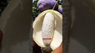 Beautiful and sugar fruit viralvideo trending fruit fruitcutting shorts satisfying india [upl. by Bonne512]