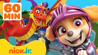 PAW Patrol  Aventuras de dragones y rescates 🐉 1 hora  Nick Jr [upl. by Adekam69]