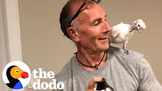 Parrot Loves Annoying Her Dad  The Dodo [upl. by Venita287]