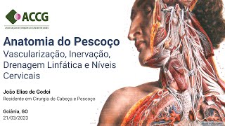 Anatomia do Pescoço Parte 2 Vascularização Inervação Drenagem Linfática e Níveis Cervicais [upl. by Nysila]