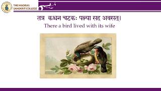 Panchatantra Tales in Sanskrit  the monkey and the birds story in Sanskrit [upl. by Annaoy]