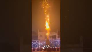 Don’t Buy This ❌ Lion King SkyShot From Gurusami 🔥 Sony Skyshot 🔥 Diwali 2024 fireworks [upl. by Torras]