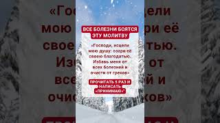 буду молиться за здоровье вашей семьи вашего дома и за чудо которого вы так долго ждали [upl. by Haily]