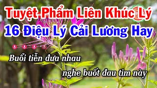 Karaoke Tuyệt Phẩm 16 Điệu Lý Cải Lương Nam Bộ Hay Nhất 2024 [upl. by Philender]