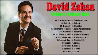 David Zahan Sus Mejores Exitos  David Zahan Top Grandes Éxitos  Tributo a Frankie Ruiz [upl. by Katie563]