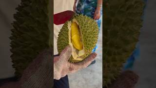 Do you like durian  Fruit Cutting Skills [upl. by Ro]